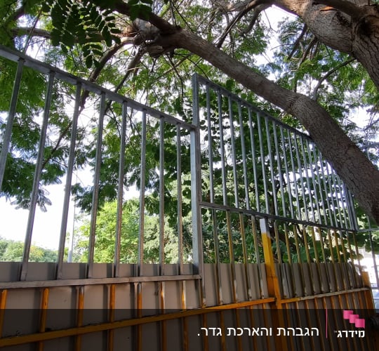 גדר מתכת עם עמודים אנכיים ליד עץ גדול